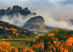 Góry, Mgła, Jesień, Drzewa, Las