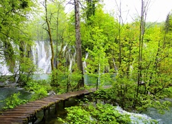 Wodospad, Las, Pomost, Plitvice, Chorwacja