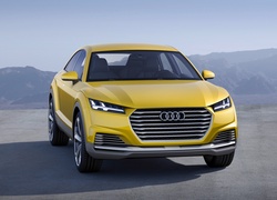 Audi, TT Offroad, Concept