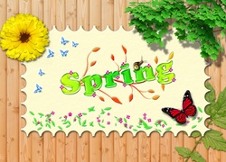 Wiosna, Napis, Motylki, Kwiat, Liście