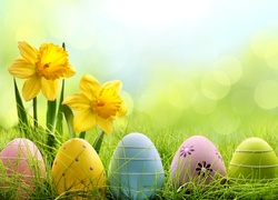 Wielkanoc, Żonkile, Kolorowe Jajka, Trawa, Poświata