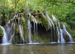 Kaskada, Roślinność