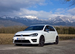 VW, Golf 7