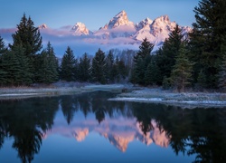 Stany Zjednoczone, Stan Wyoming,  Park Narodowy Grand Teton, Rzeka Snake River, Góry Teton Range, Drzewa