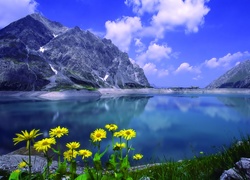 Góry, Jezioro, Skały, Kwiatki