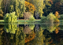 Jesień, Park, Staw, Odbicie