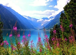 Góry, Jezioro, Kwiatki