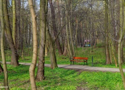Park, Ławka, Drzewa, Zieleń, Alejka