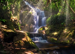 Wodospad, Kamienie, Las, Dżungla