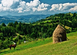 Góry, Lasy, Łąka, Koń, Stóg, Siana