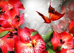 Czerwone, Kwiaty, Motyl, Alstremeria