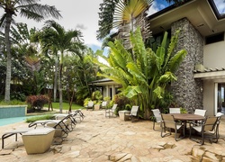 Basen, Palmy, Hotel