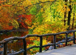 Jesień, Rzeka, Drzewa, Ogrodzenie, Park