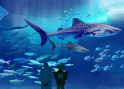 Axis Powers Hetalia, Manga, Anime, Oceanarium