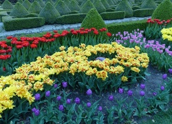 Flora, Hortulus, Kwiaty, Ogród