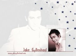 Jake Gyllenhaal,twarz