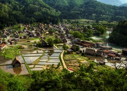Wieś, Ogimachi, Japonia