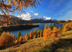 Góry, Jezioro, Lasy, Szwajcaria
