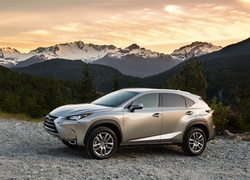 Lexus, NX200t