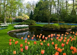 Park, Keukenhof, Staw, Tulipany