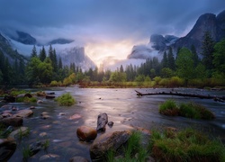 Stany Zjednoczone, Stan Kalifornia, Park Narodowy Yosemite, Góry, Lasy, Wiosna