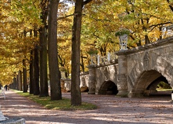 Jesień, Park, Most