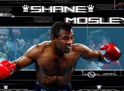 Boks,Shane Mosley