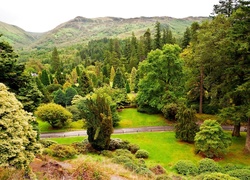 Szkocja, Benmore, Ogród Botaniczny, Argyll, Góry