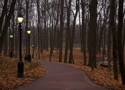 Jesień, Park, Alejka, Latarnie
