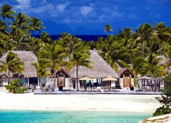 Dom, Palmy, Plaża, Ocean, Bora Bora