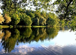 Park, Rzeka, Pływające, Kaczki