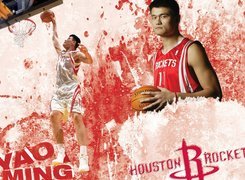 Koszykówka,koszykarz ,Yao Ming ,Huston Rockets