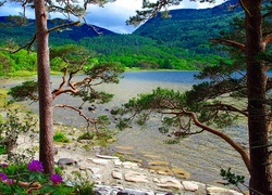 Góry, Jezioro, Drzewa, Irlandia
