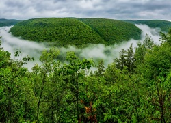 Góry, Lasy, Grand, Mgła