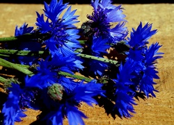 Bukiet, Kwiaty, Niebieskie, Chabry