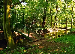 Park, Rzeczka, Mostek, Przebijające, Światło