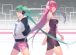 Vocaloid, Hatsune Miku, Megurine Luka