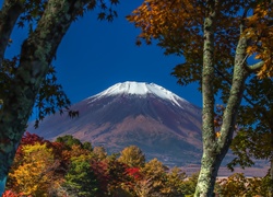 Góra, Fuji, Drzewa, Japonia, Wulkan