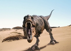 Dinozaur, Ti-Rex