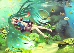 Vocaloid, Hatsune Miku