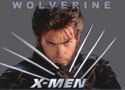 Hugh Jackman,x-men, grzywka