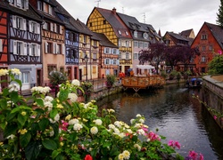 Domy, Rzeka, Kwiaty, Francja