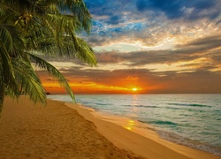 Zachód Słońca, Morze, Plaża, Palmy