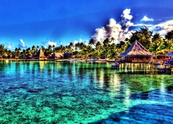 Morze, Wybrzeże, Domki, Palmy, Tahiti, HDR