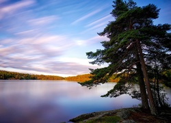 Jezioro Källtorpssjön, Szwecja, Drzewa, Jesień