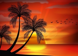 Zachód Słońca, Morze, Palmy, 2D