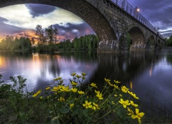 Most, Rzeka, Zachód Słońca, Kwiaty, Drzewa