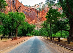 Stany Zjednoczone, Park Narodowy Zion, Stan Utah, Droga, Góry, Drzewa