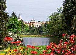 Zamek Pruhonice, Miejscowość Pruhonice, Czechy, Park, Staw, Różanecznik