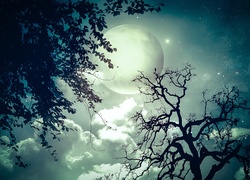 Drzewa, Księżyc, Chmury, Niebo